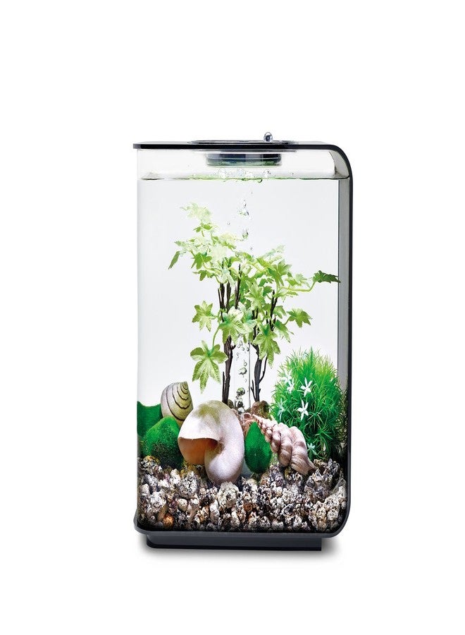 biOrb Decor Set 15L Summer, Multi, Small - Image 2